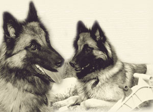 SoraThemenbild-_Home