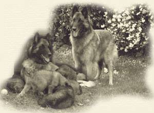 SoraThemenbild-_Time_goes